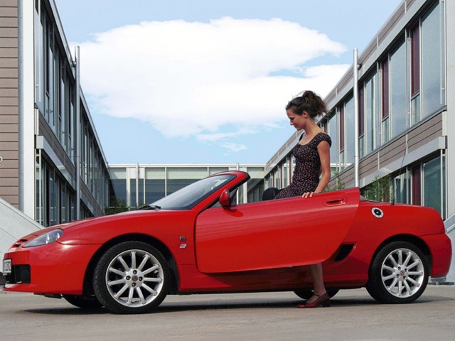 Mg F/ Tf photo 18