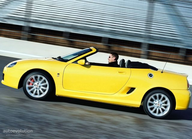 Mg F/ Tf photo 9
