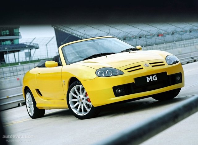 Mg F/ Tf photo 10