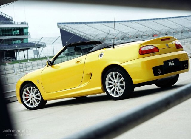 Mg F/ Tf photo 11