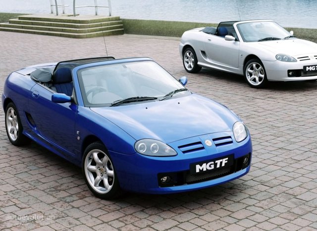 Mg F/ Tf photo 3