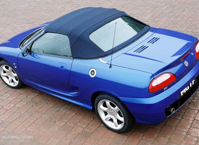 Mg F/ Tf photo 4