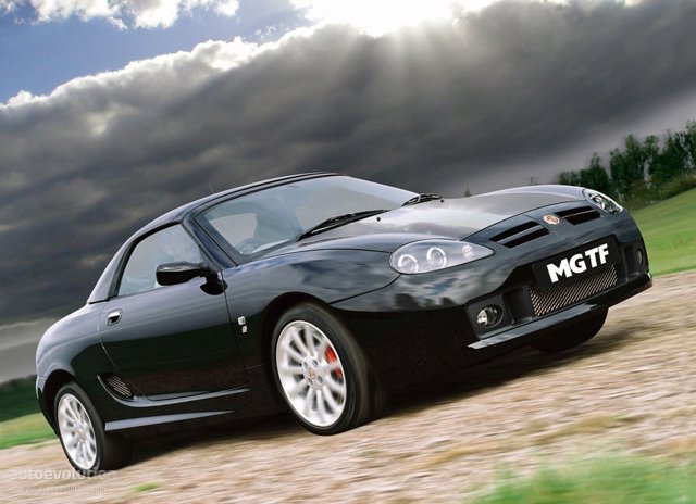 Mg F/ Tf photo 5