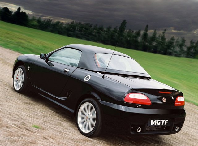 Mg F/ Tf photo 6