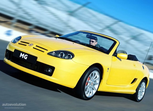Mg F/ Tf photo 7