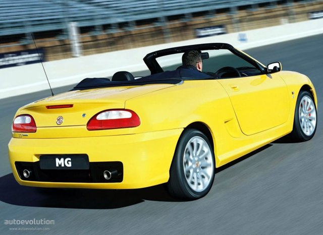 Mg F/ Tf photo 8