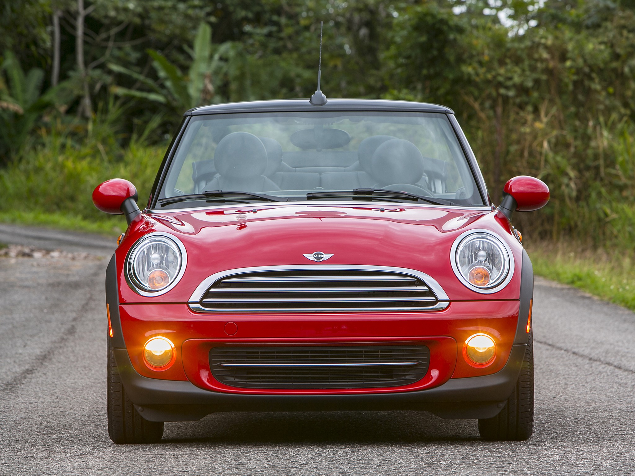 Mini Convertible photo 58