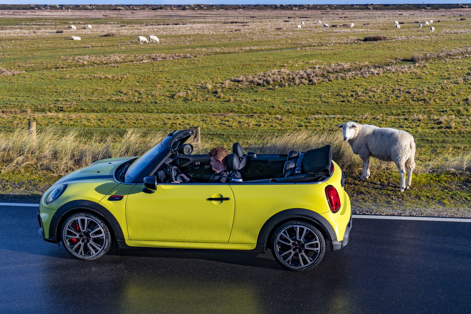 Mini Convertible photo 99