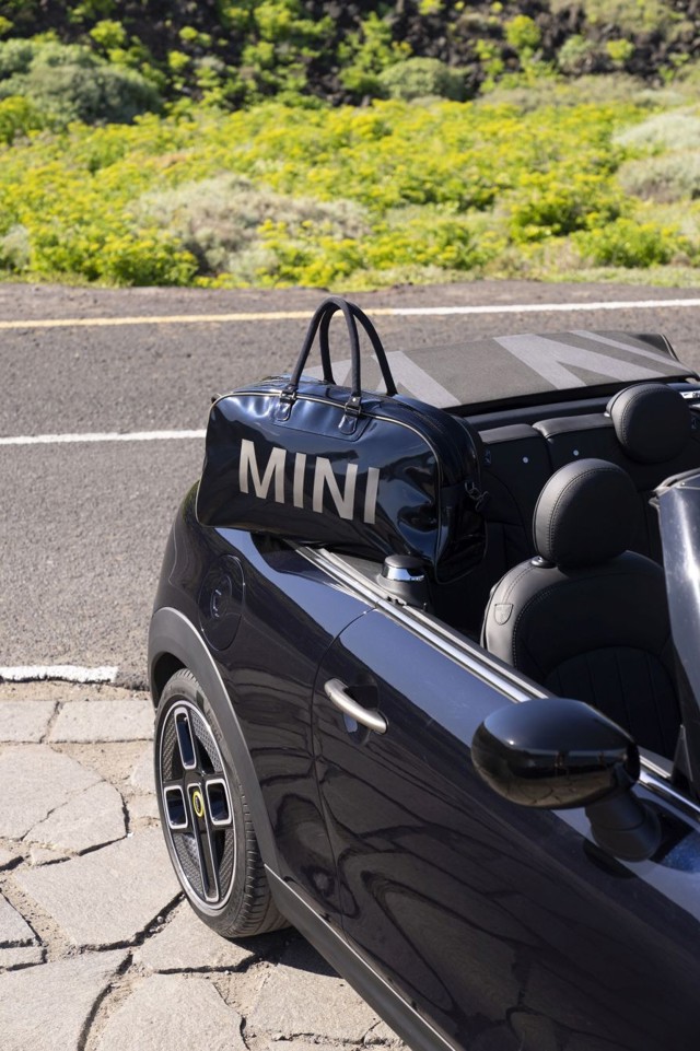 Mini Convertible photo 188