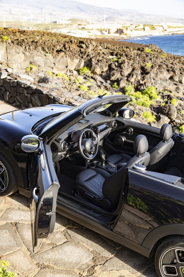 Mini Convertible photo 245