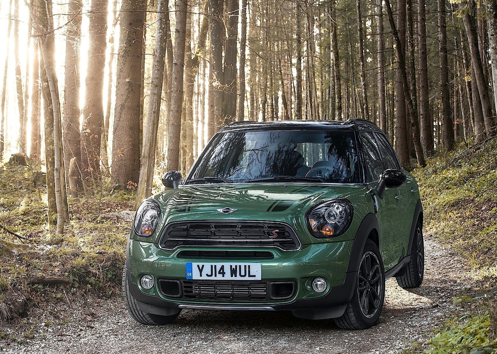 Mini Countryman photo 8