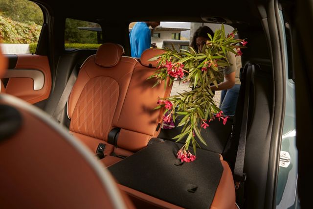 Mini Countryman photo 284