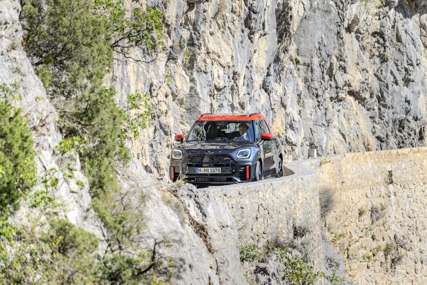 Mini Countryman photo 137