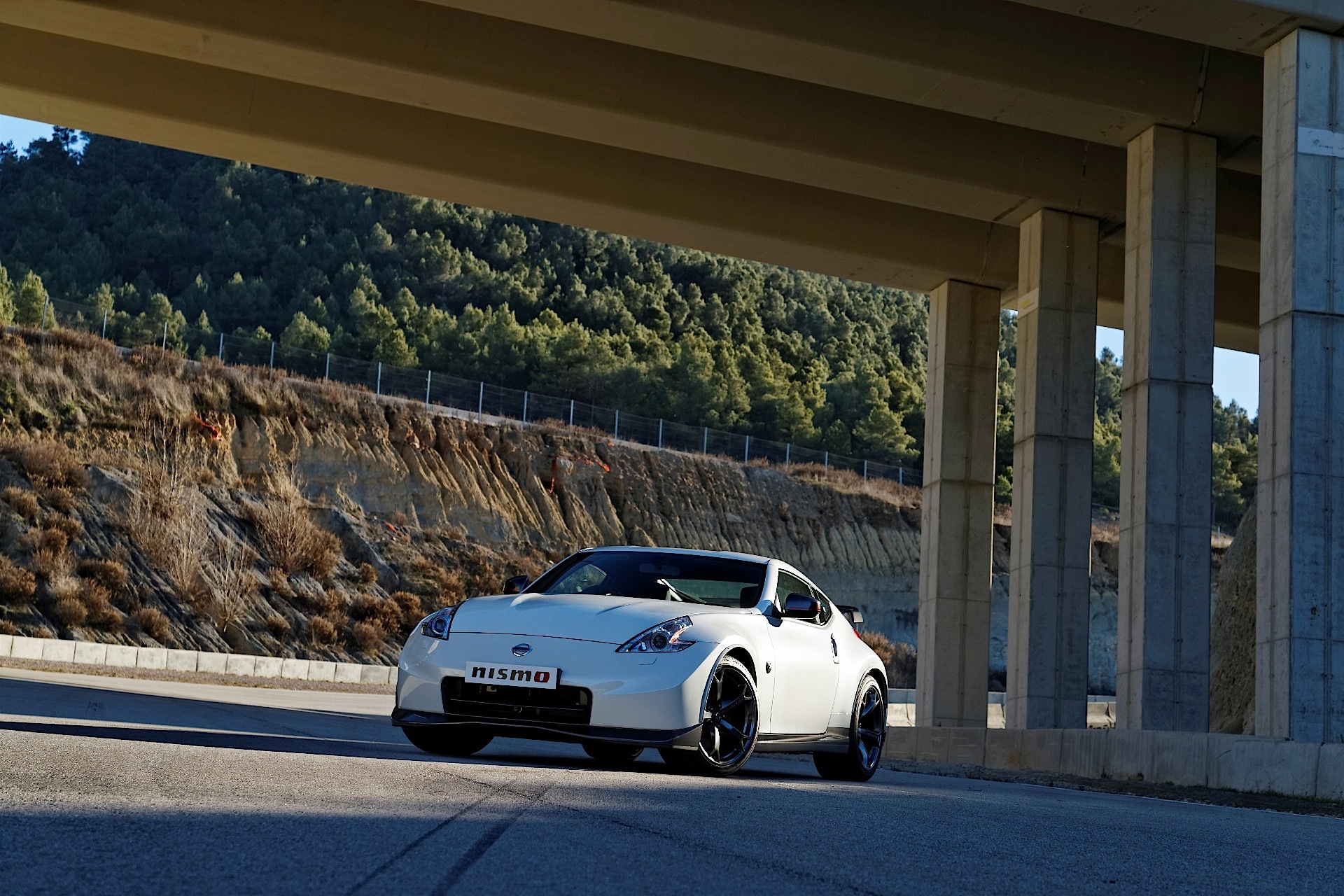 Nissan 370Z Nismo photo 42