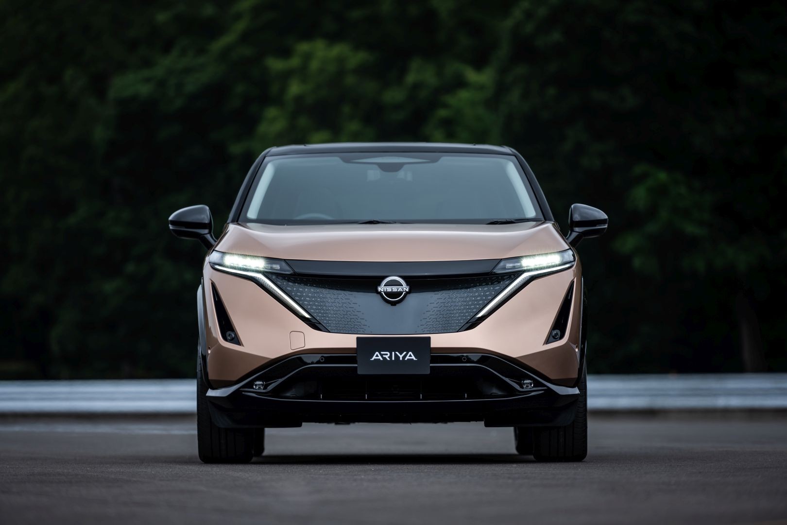 Nissan Ariya photo 8