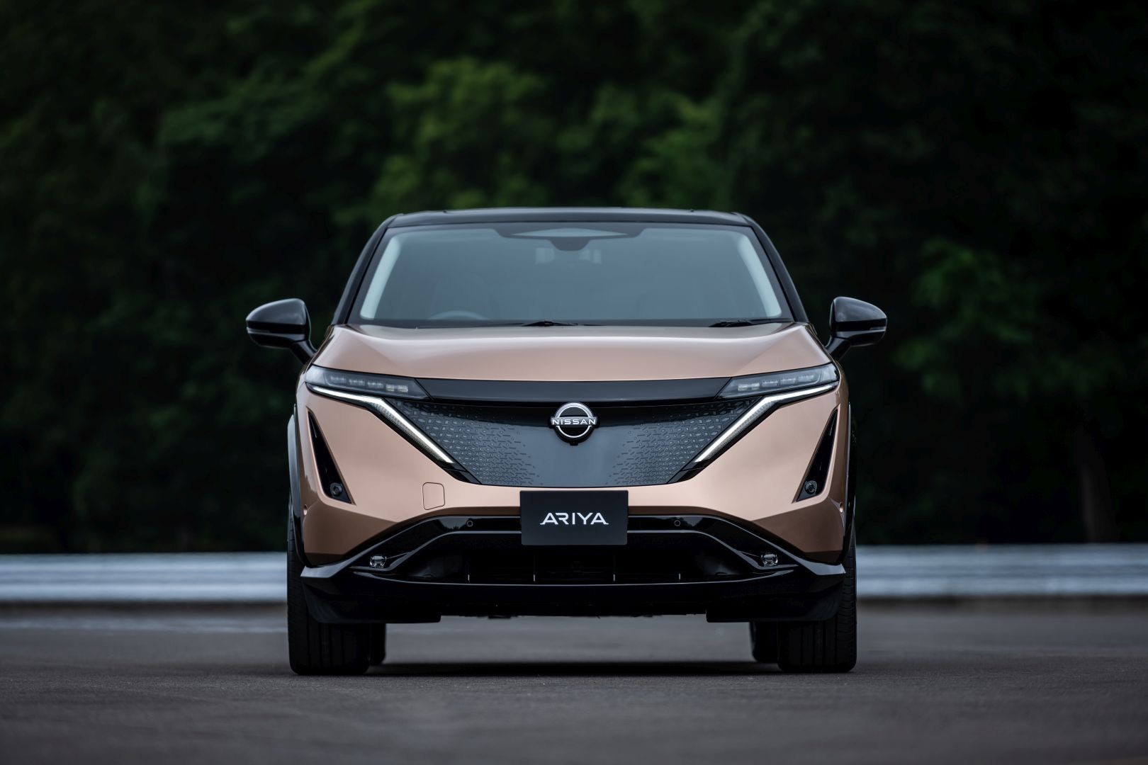 Nissan Ariya photo 9