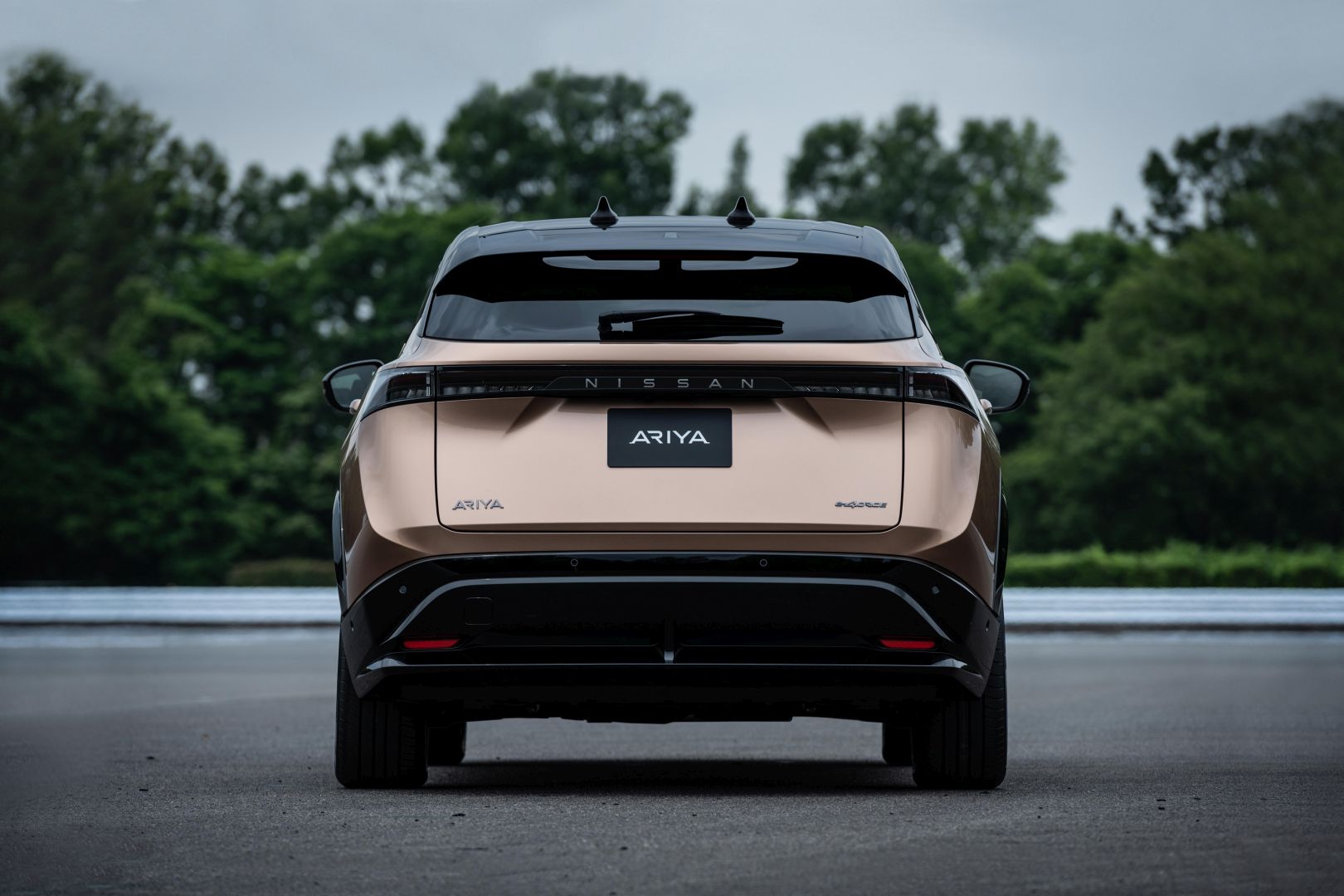 Nissan Ariya photo 19