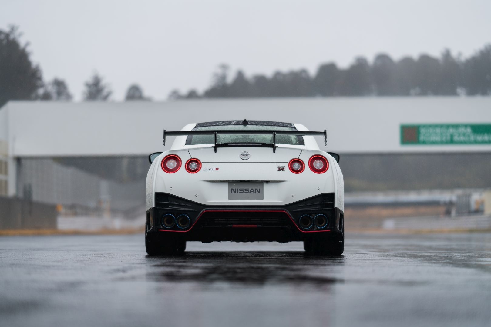 Nissan Gt-R Nismo photo 9