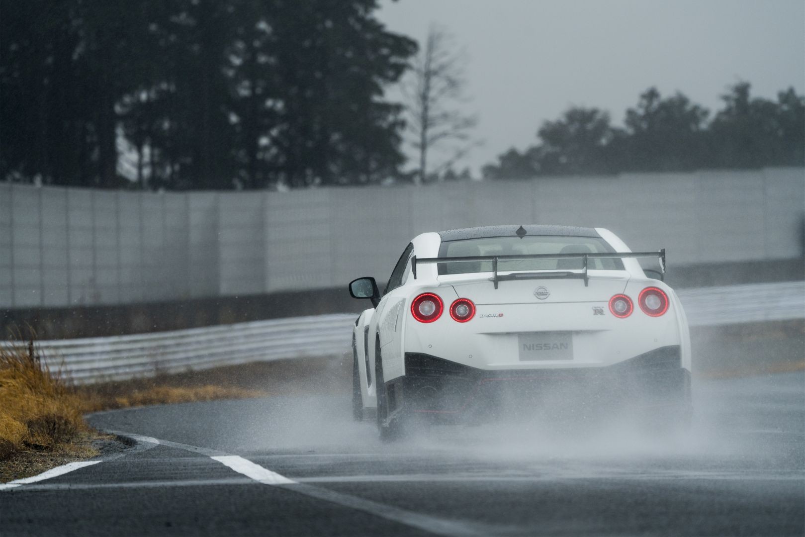 Nissan Gt-R Nismo photo 2
