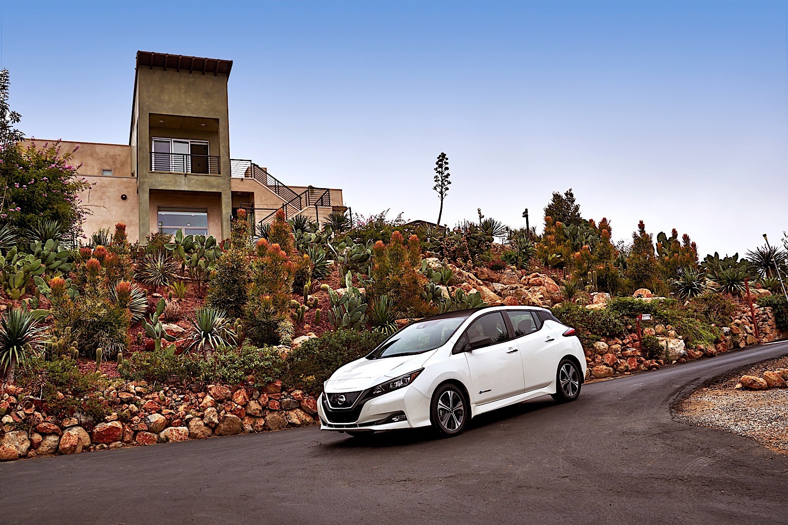 Nissan Leaf photo 2