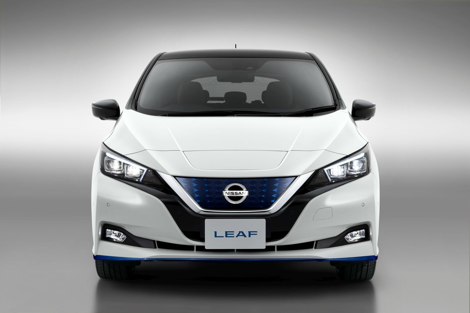 Nissan Leaf photo 45
