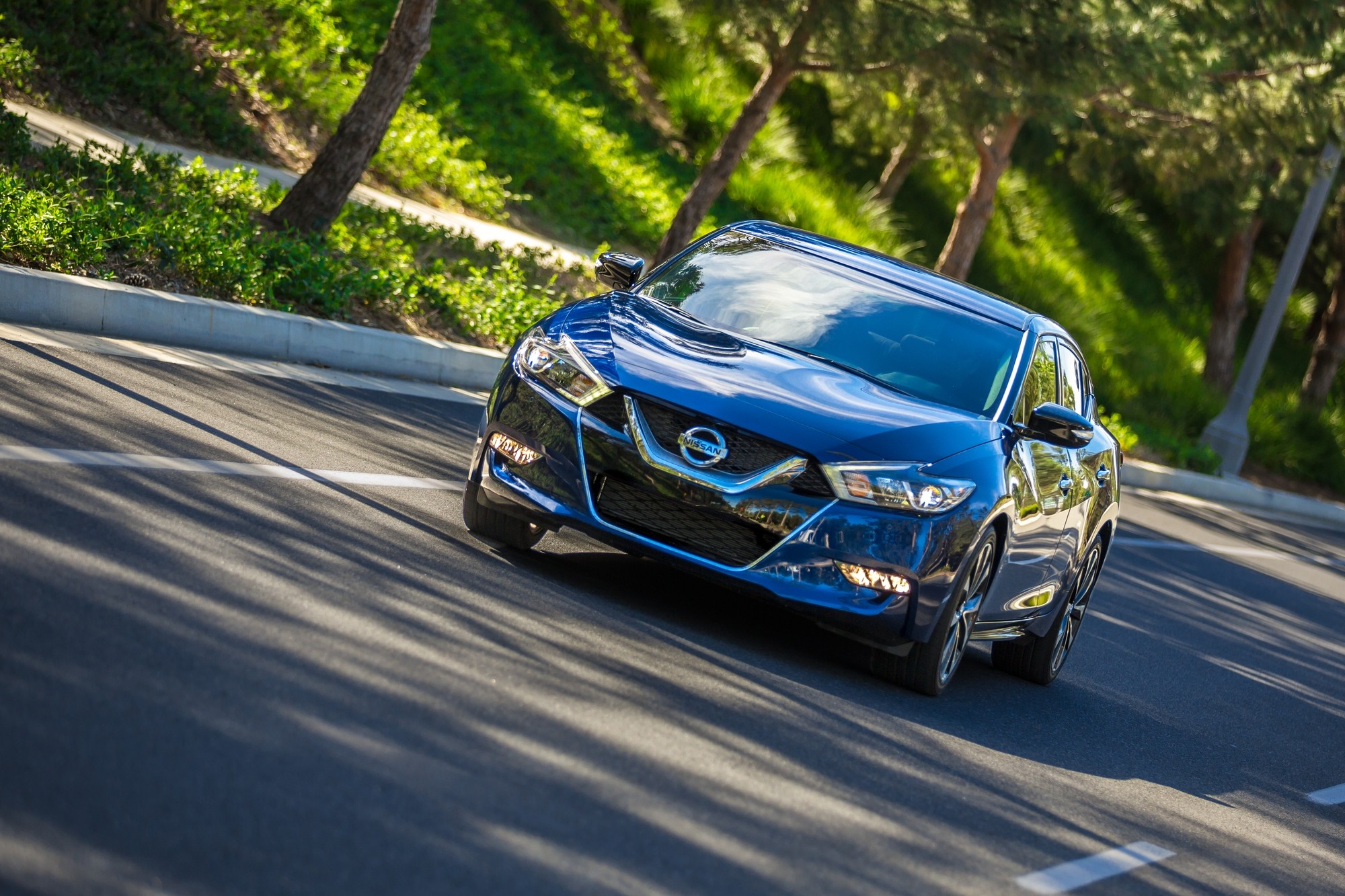 Nissan Maxima photo 15