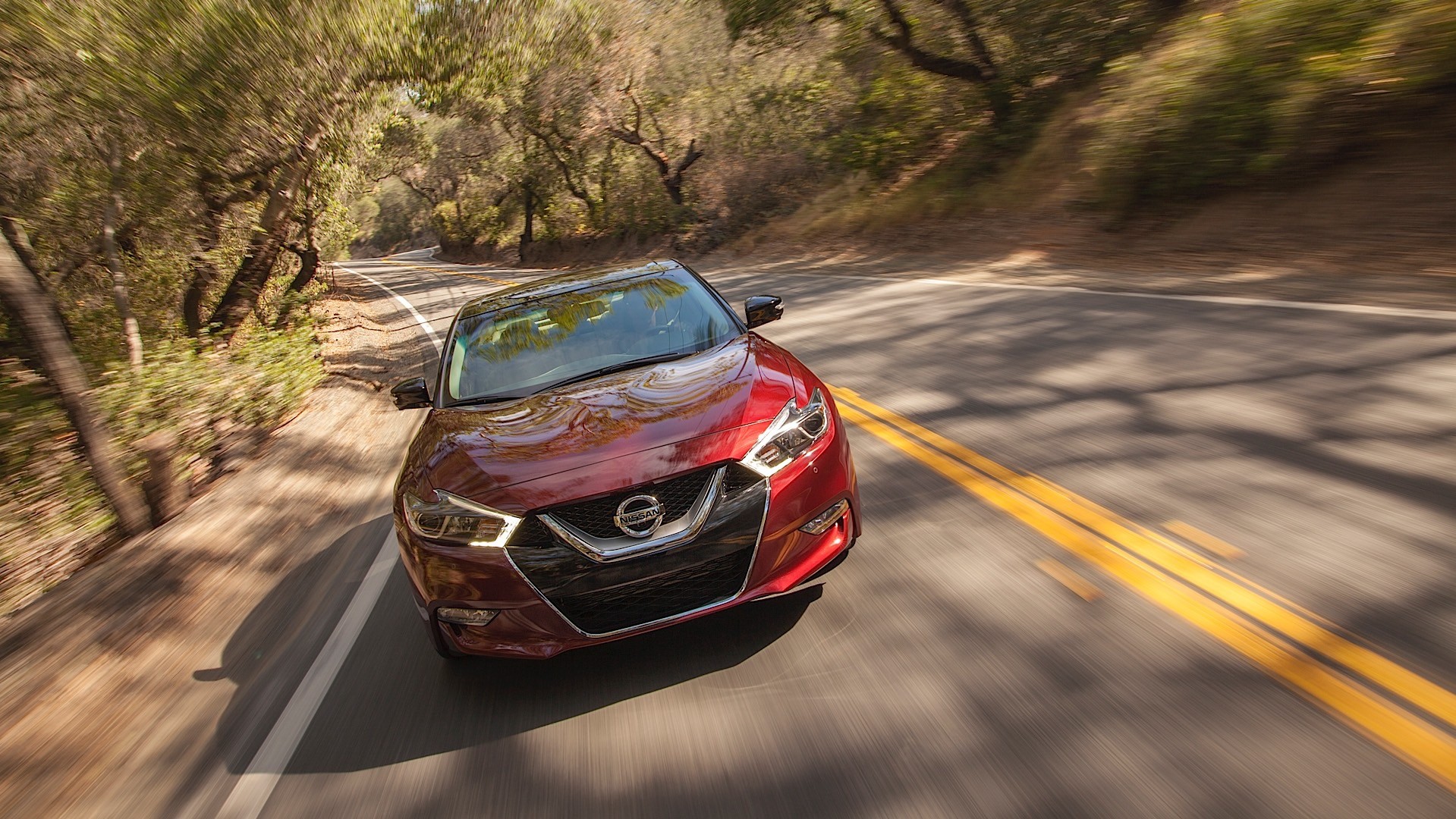 Nissan Maxima photo 18