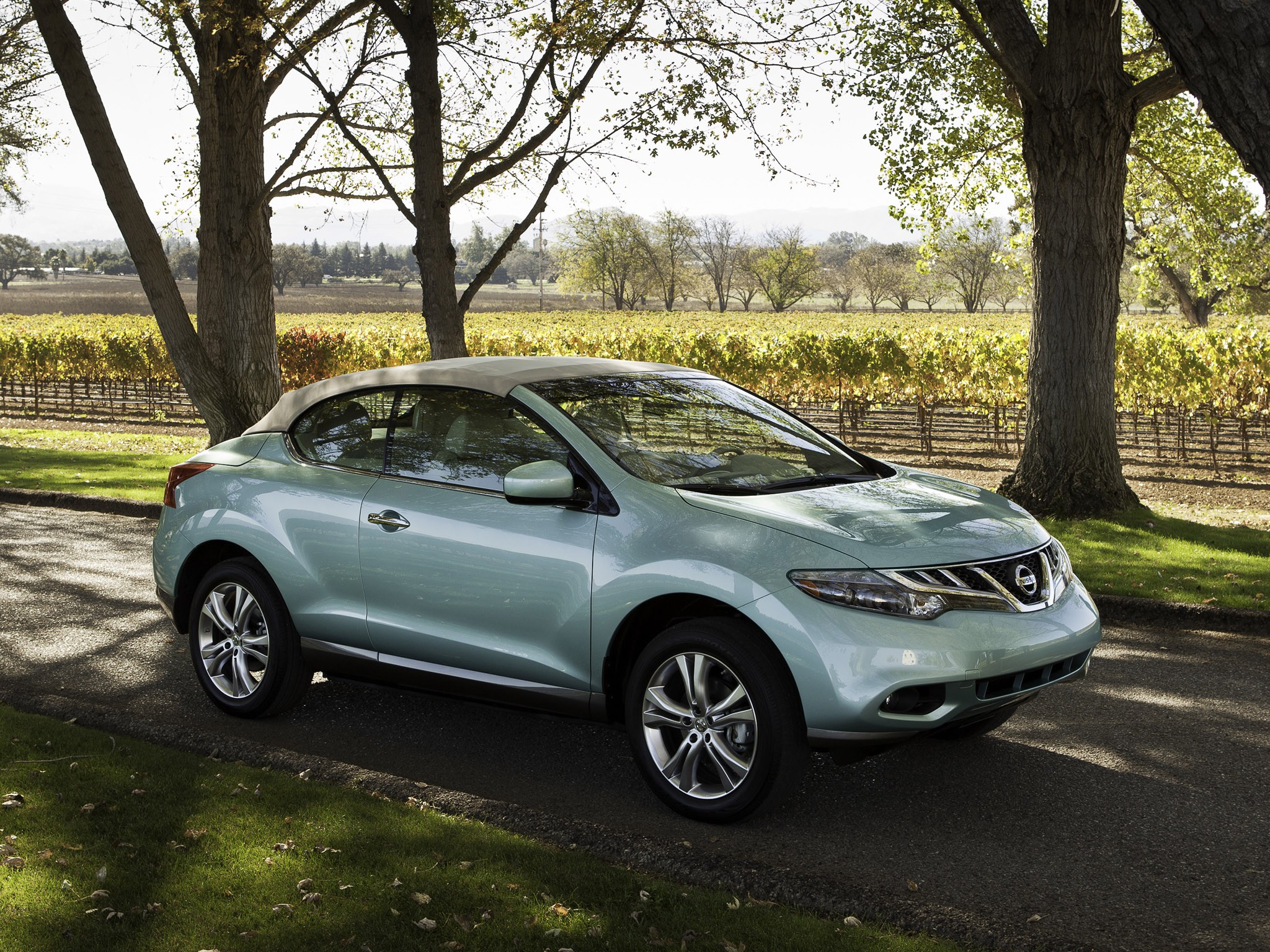Nissan Murano Crosscabriolet photo 11