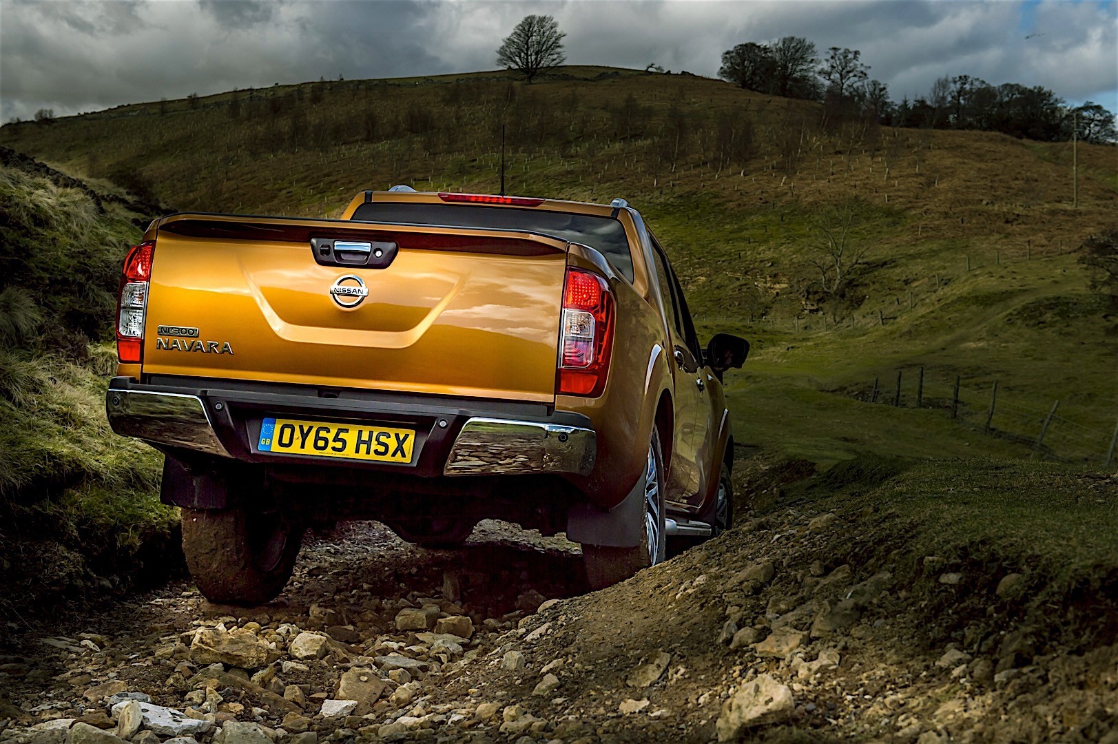 Nissan Navara / Frontier Double Cab photo 59