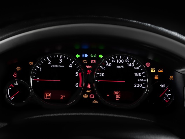 Nissan Pathfinder Foto 83