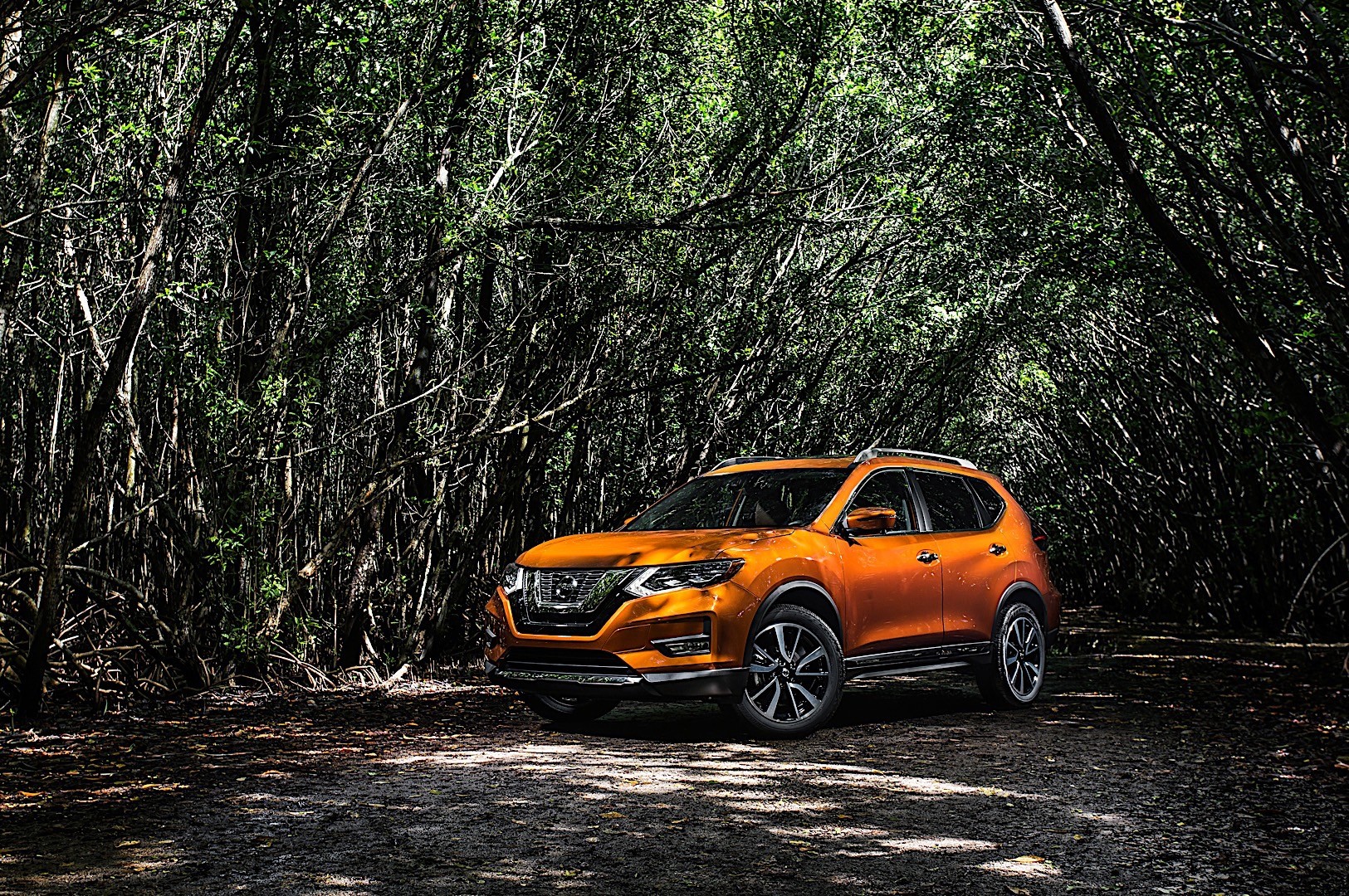 Nissan Rogue photo 12
