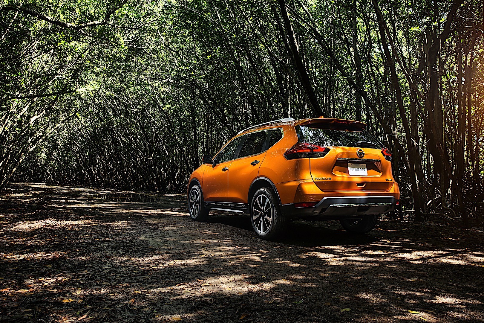 Nissan Rogue photo 13