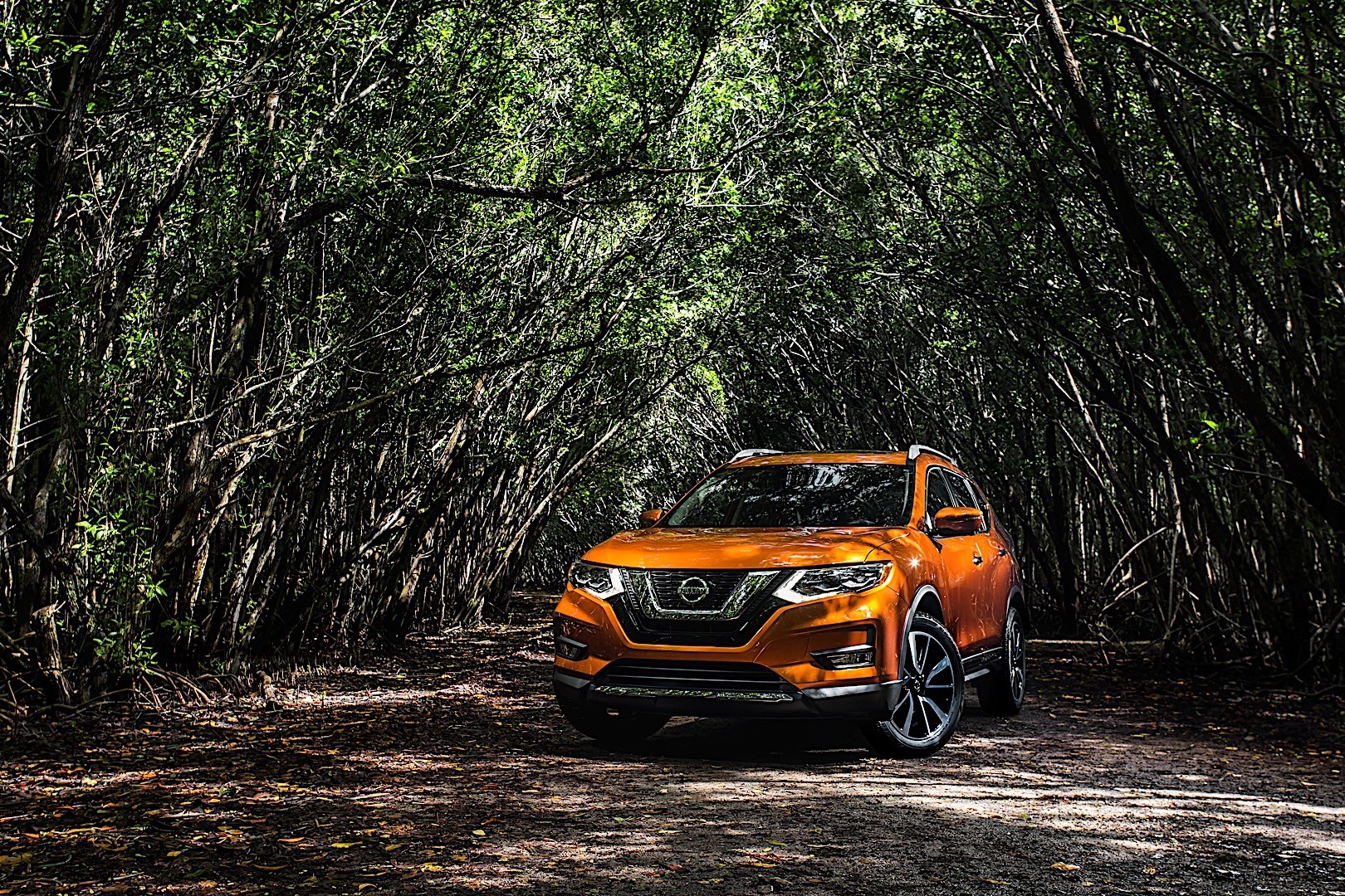 Nissan Rogue photo 32