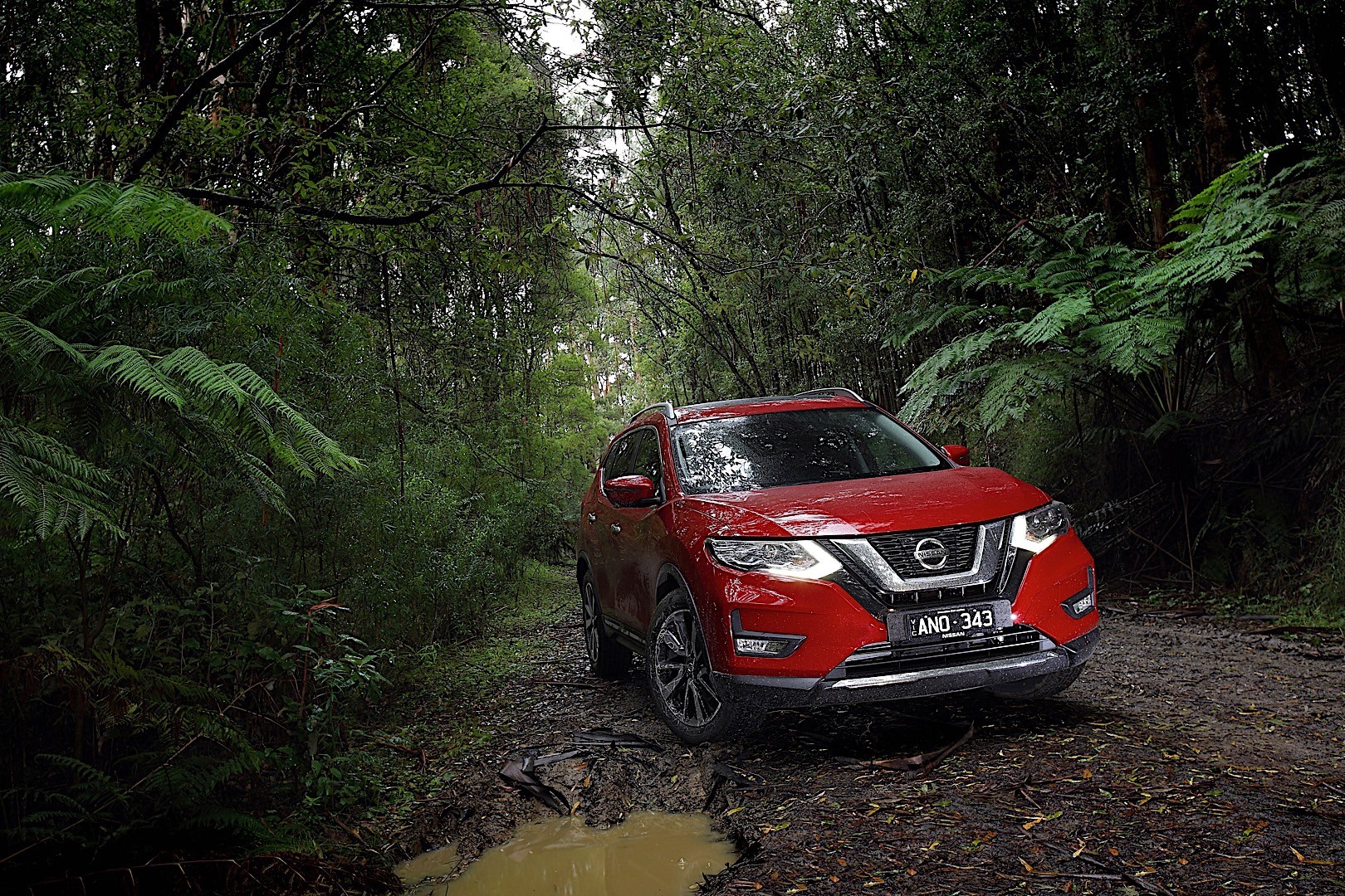 Nissan X-Trail photo 48