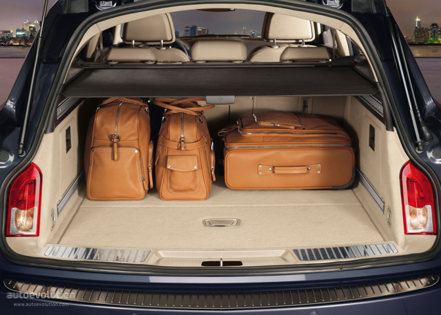 Opel Insignia Sports Tourer photo 79