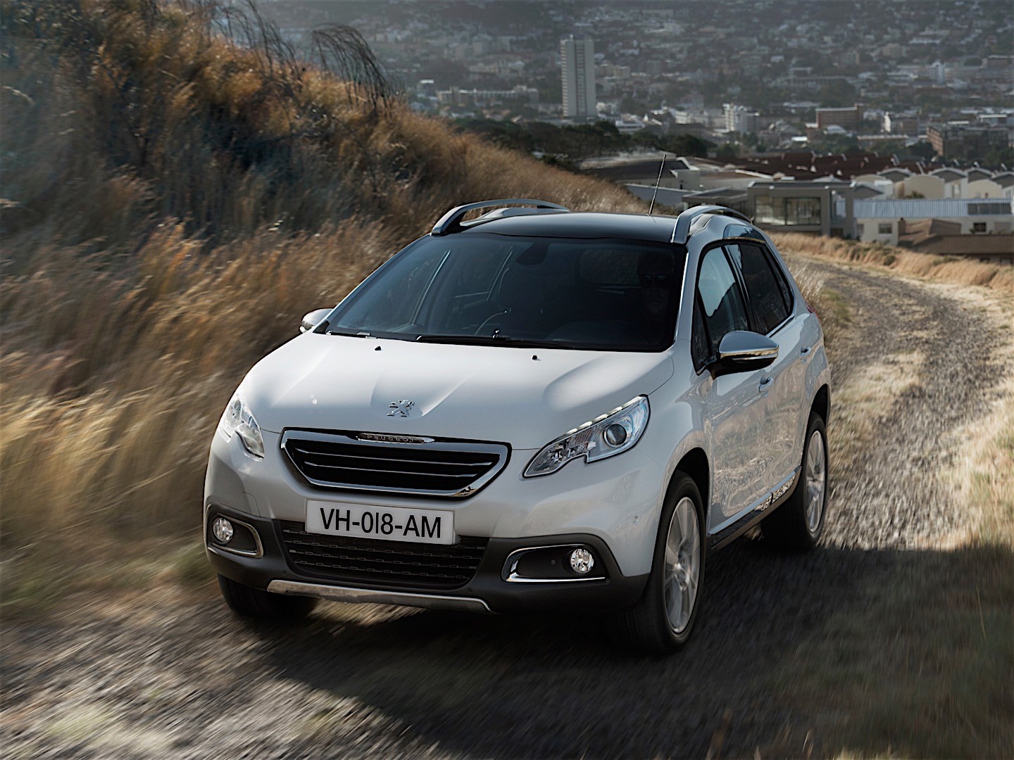 Peugeot 2008 photo 19