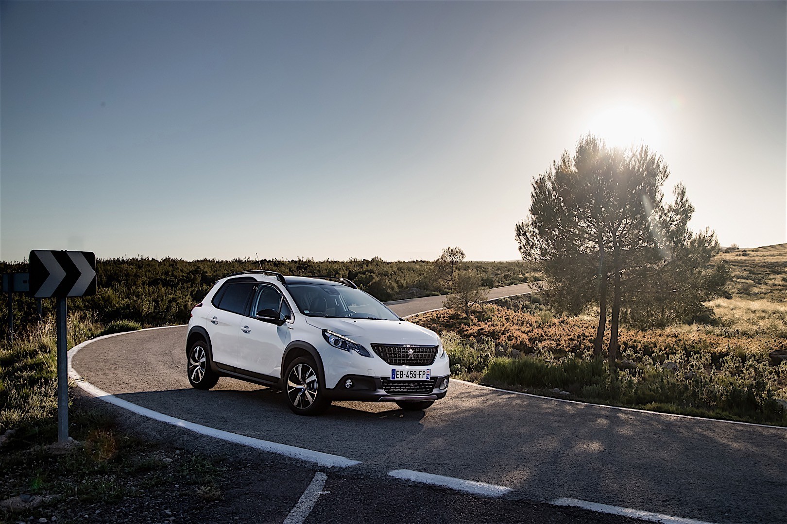 Peugeot 2008 photo 41