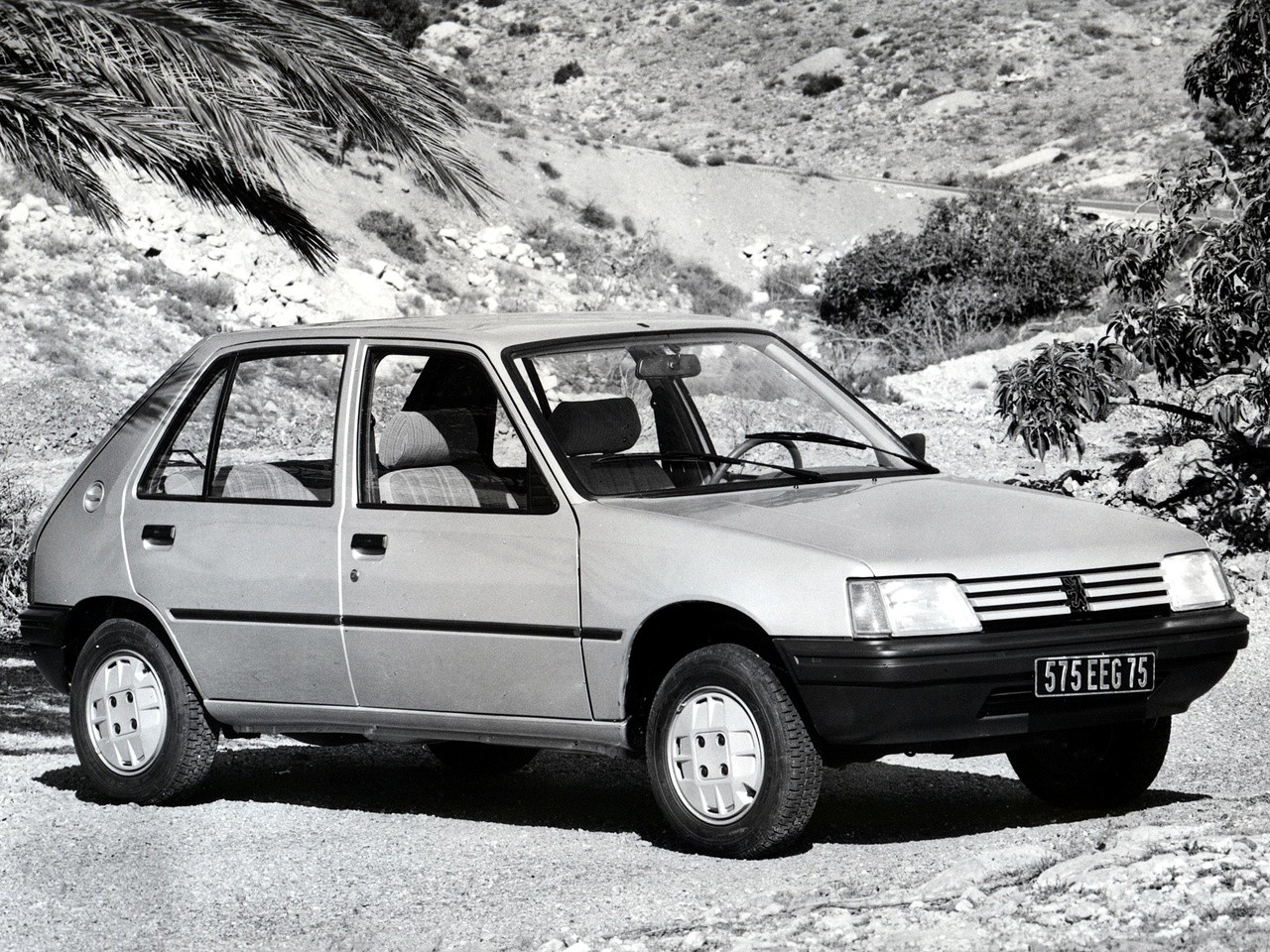 Peugeot 205 photo 12