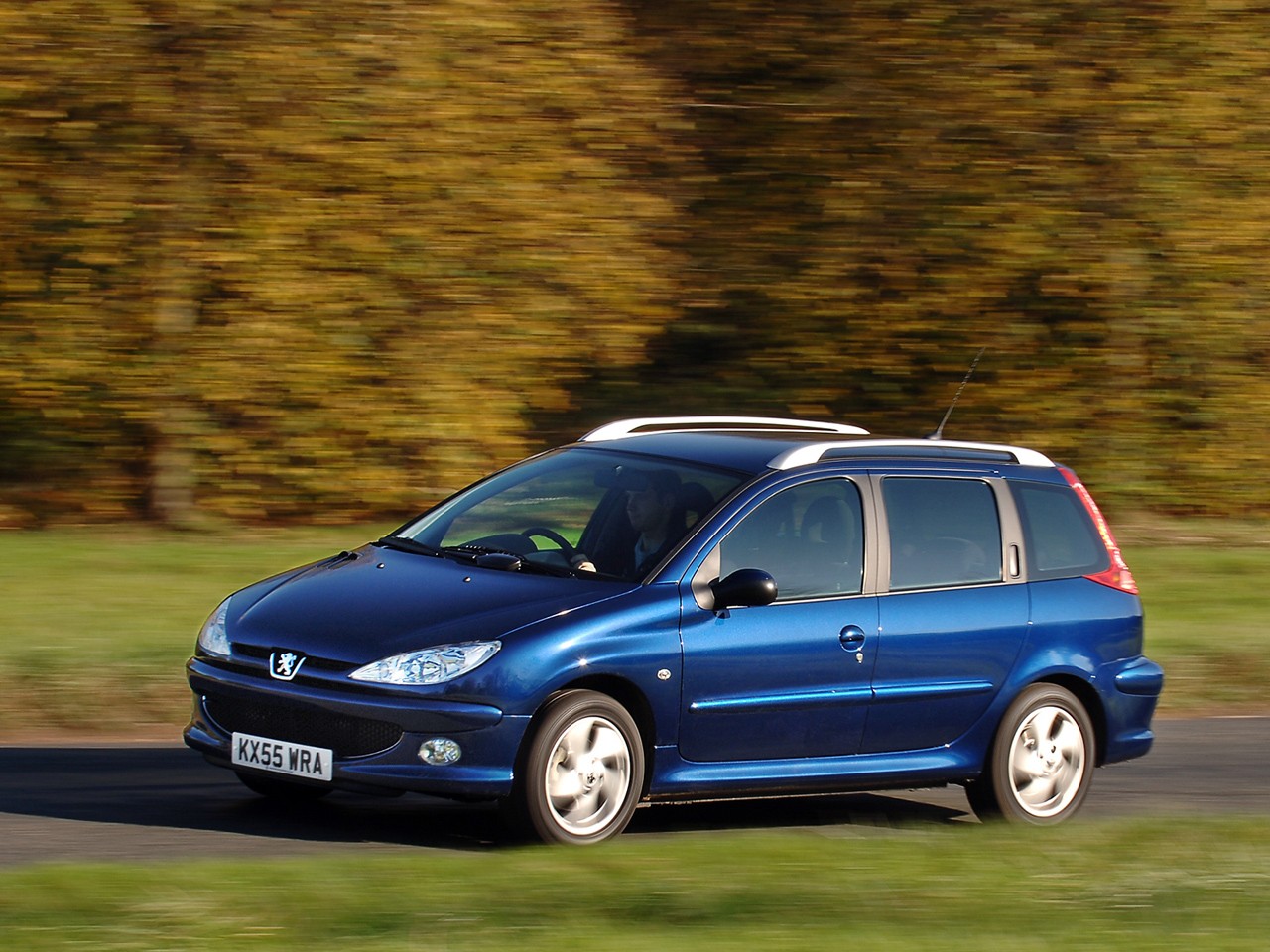 Peugeot 206 Sw photo 11