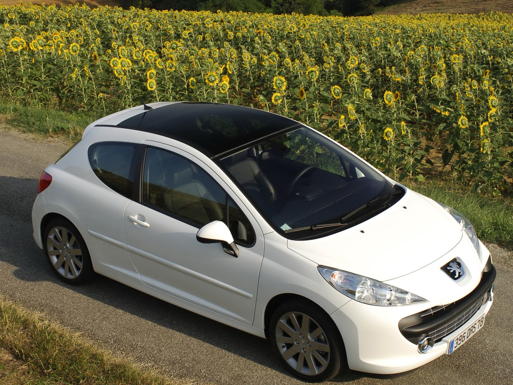 Peugeot 207 3 Doors photo 33
