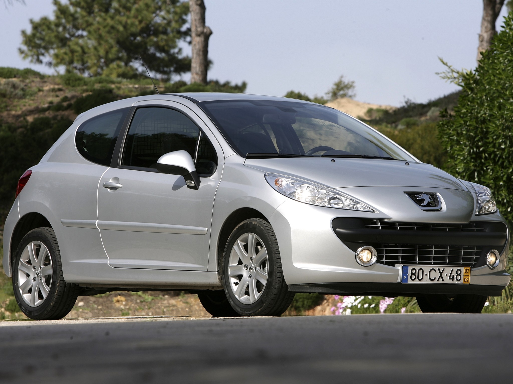 Peugeot 207 3 Doors photo 39