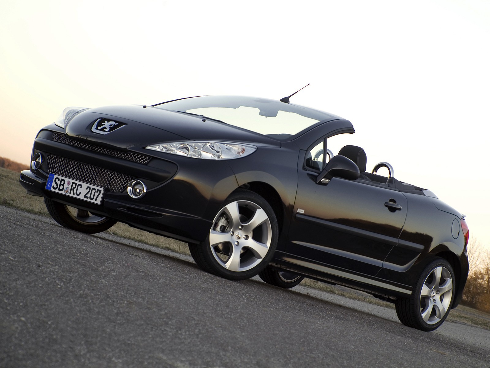 Peugeot 207 Cc photo 14