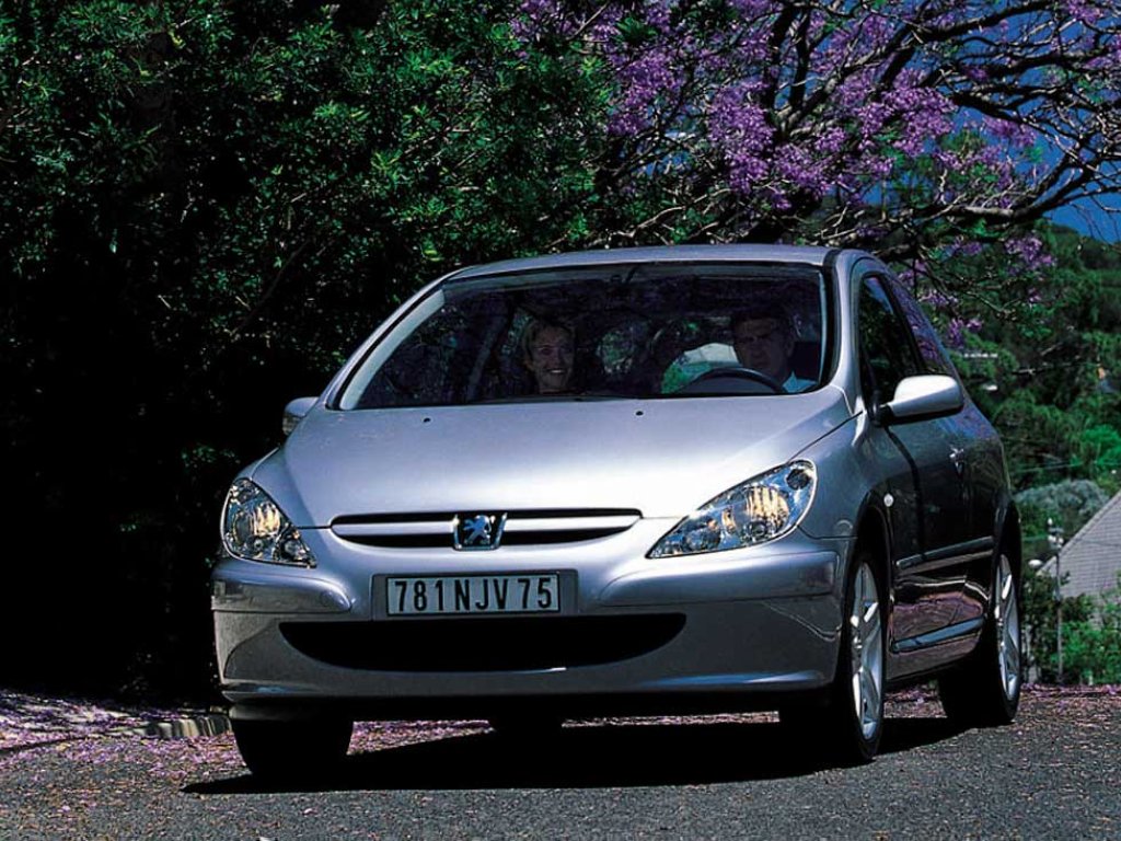Peugeot 307 3 Doors photo 11