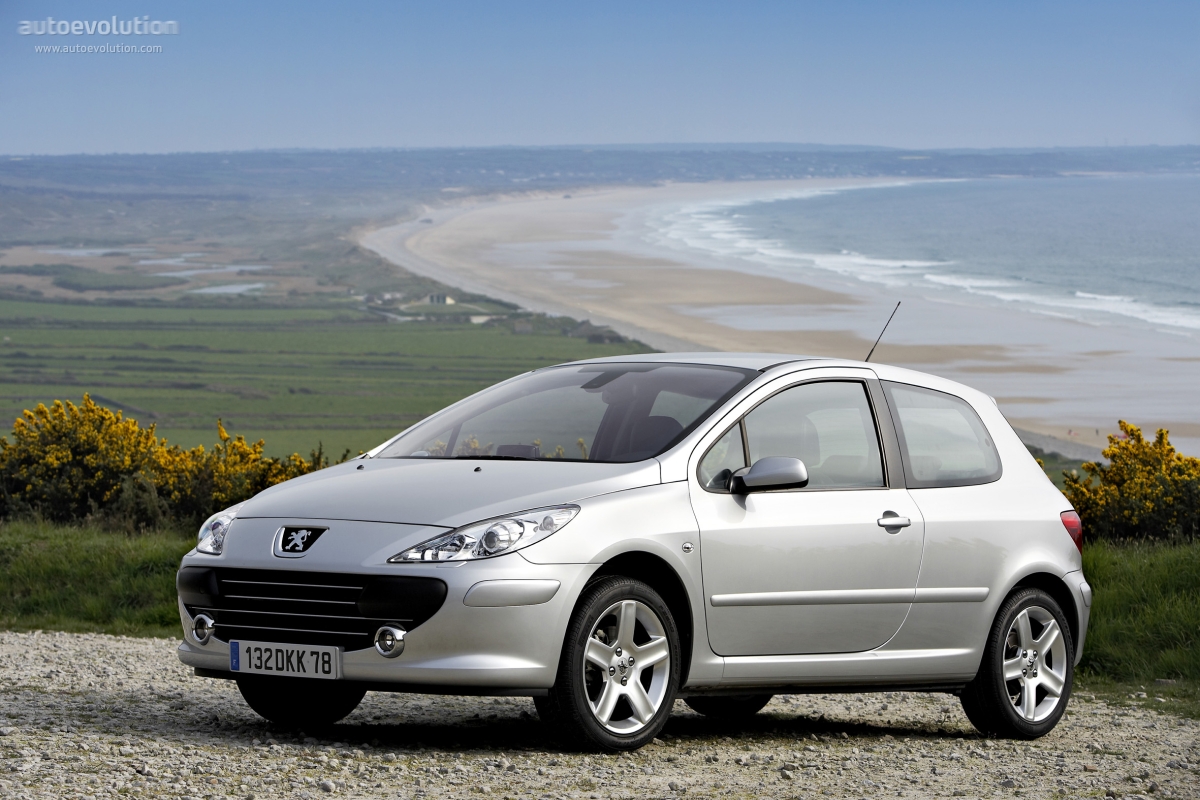 Peugeot 307 3 Doors photo 3