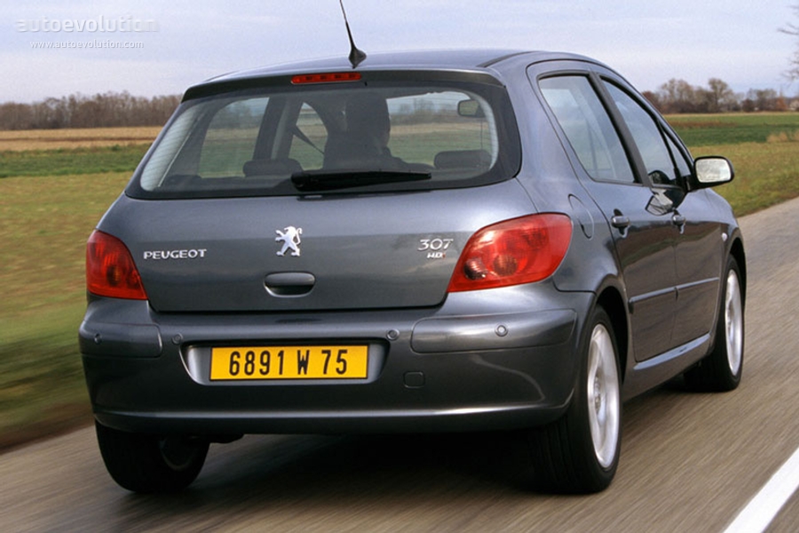 Peugeot 307 5 Doors photo 6
