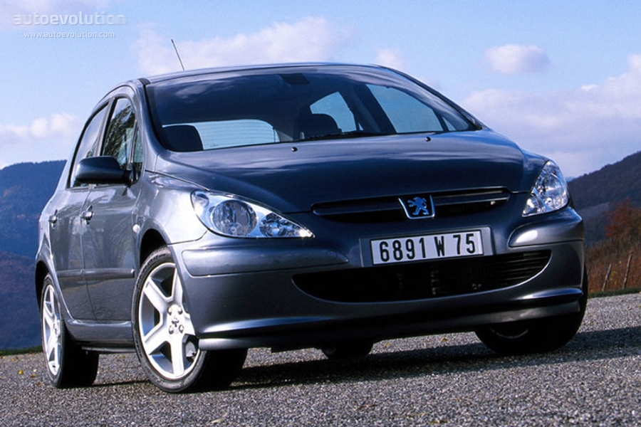 Peugeot 307 5 Doors photo 3