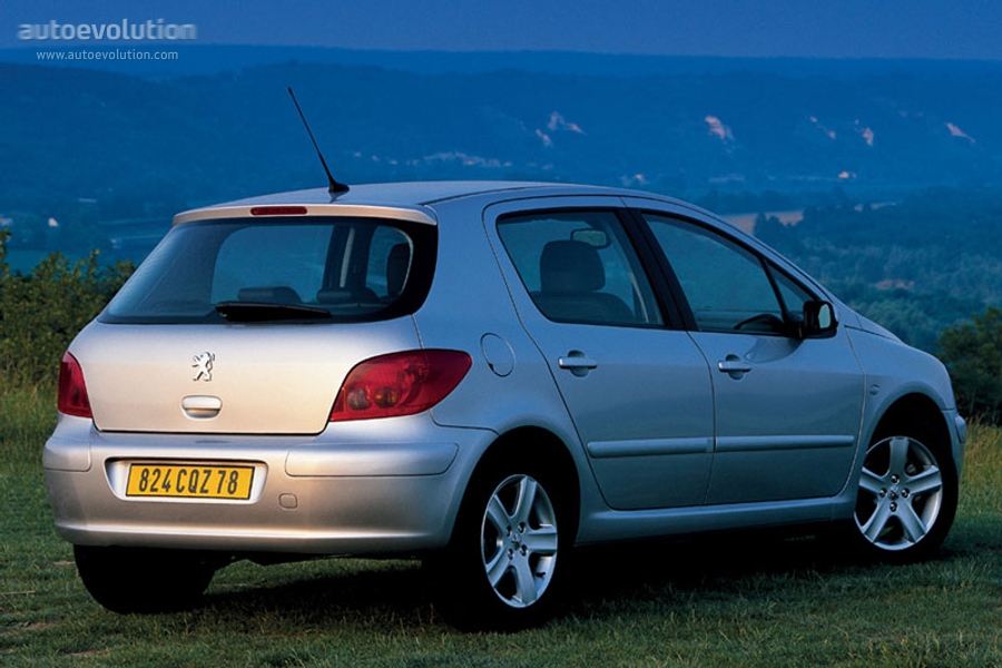 Peugeot 307 5 Doors photo 5