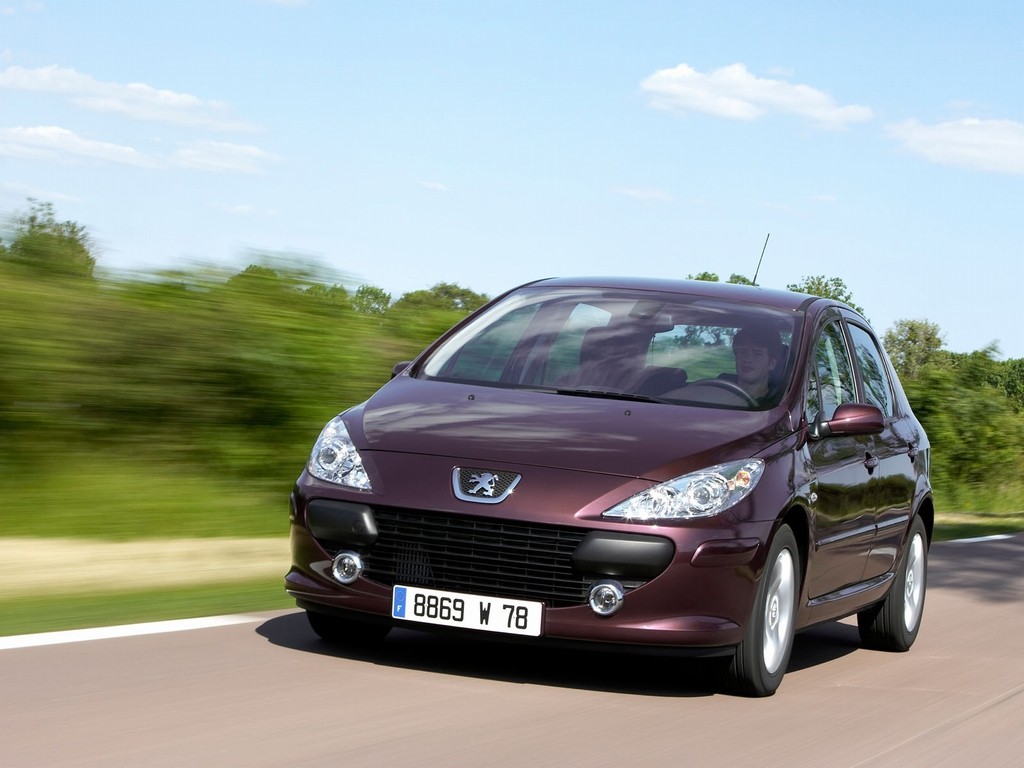 Peugeot 307 5 Doors photo 6