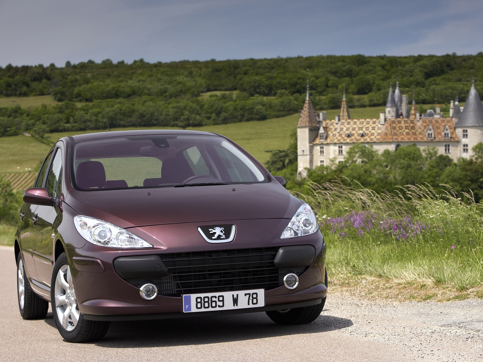 Peugeot 307 5 Doors photo 8