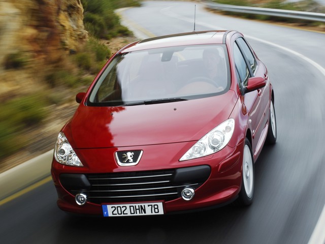 Peugeot 307 5 Doors photo 15